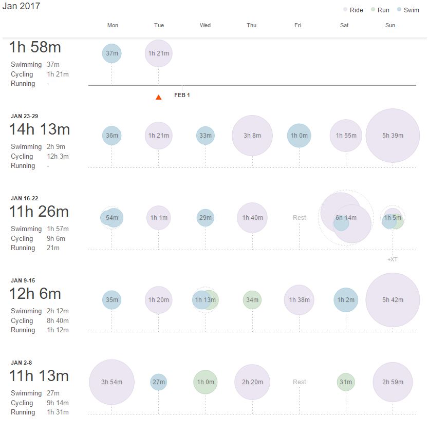 17-jan-monthly-review