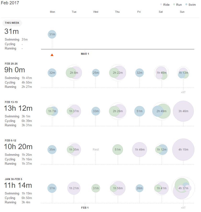 17-feb-monthly-review