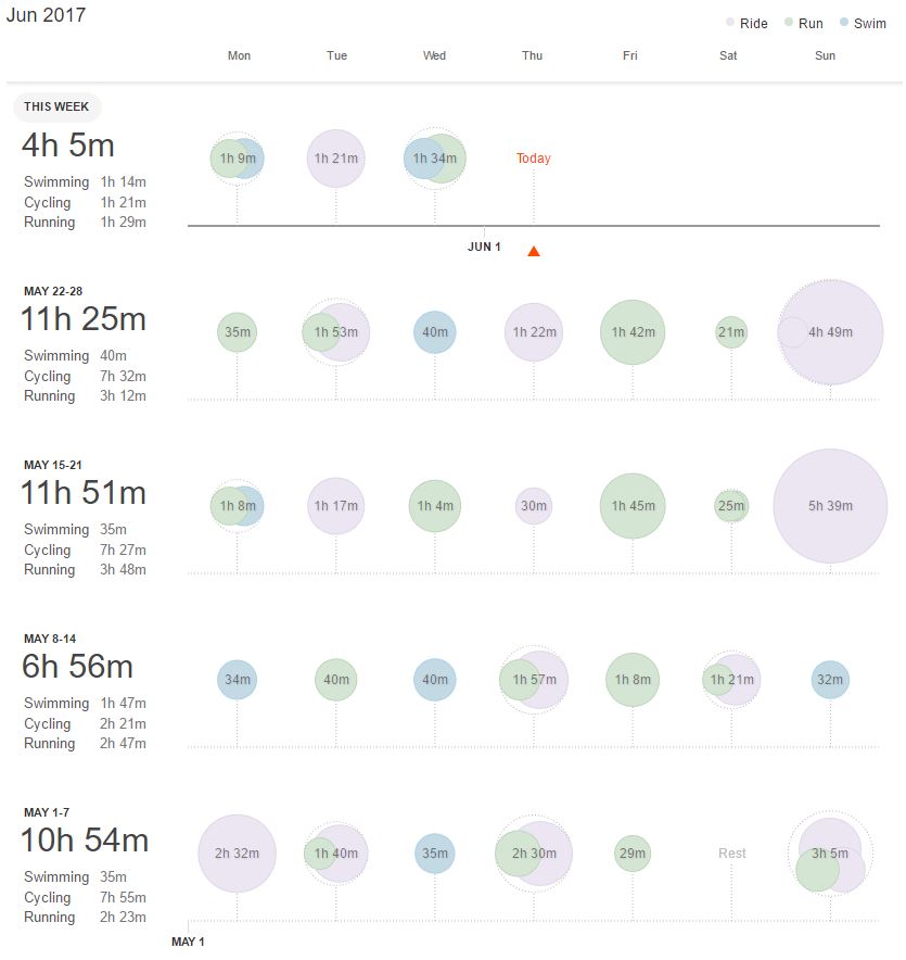 17 May Monthly Review